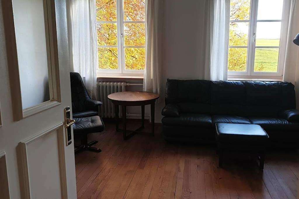 Ferienwohnung In Der Villa Sana Mit Grossem Garten Rofingen Exterior photo